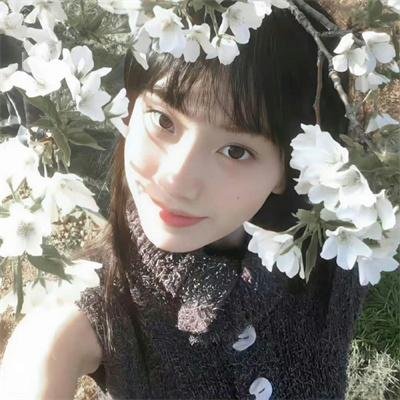 生之柳